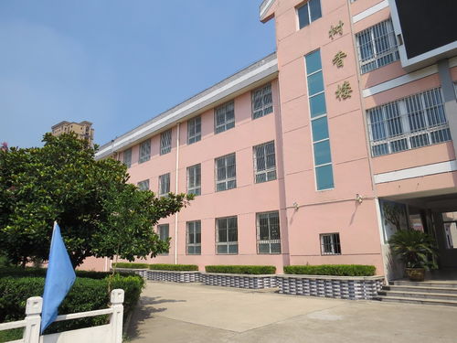 创文明城市 建文明校园