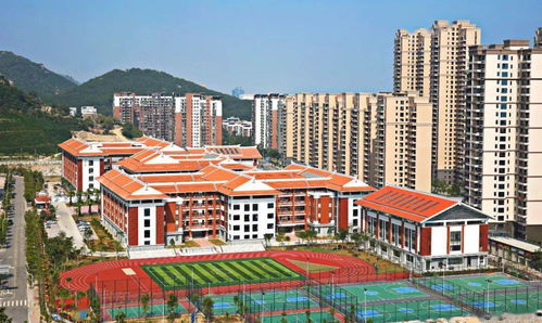 神兽回笼 ,直击漳州港开学第一天