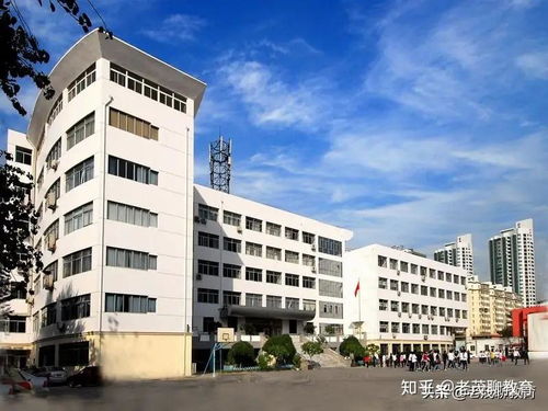 师范类本科教育需要借鉴中师培养模式