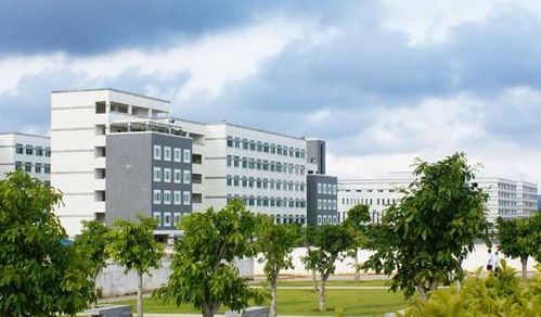 教育部公布审批结果 2019年福建9所学校新设11个专业