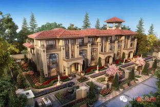 厦门网约车新政正式实施，12月5日起开放申请，不限户籍门槛